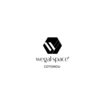 wegal space noir
